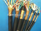 DJVVP3計(jì)算機(jī)控制電纜全國(guó)送貨，天津市電纜總廠第一分廠專(zhuān)業(yè)之選