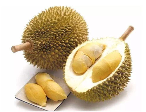 馬來(lái)西亞冷凍整顆榴蓮進(jìn)口報(bào)關(guān)指南 流程與關(guān)鍵點(diǎn)解析