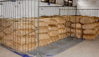 飛仙煙草站穩(wěn)步推進均衡收購