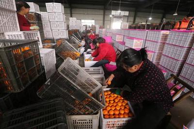 &ldquo;全國(guó)網(wǎng)絡(luò)主流媒體行&rdquo;走進(jìn)湖北宜昌 生態(tài)發(fā)展看荊楚 電商平臺(tái)助力農(nóng)產(chǎn)品上行