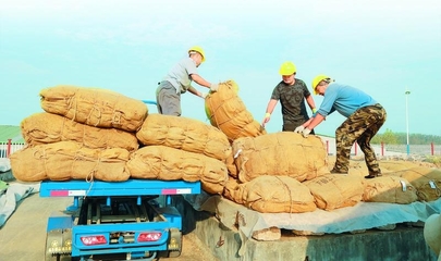 山東煙區(qū):收購(gòu)規(guī)范有序 煙葉以質(zhì)取勝